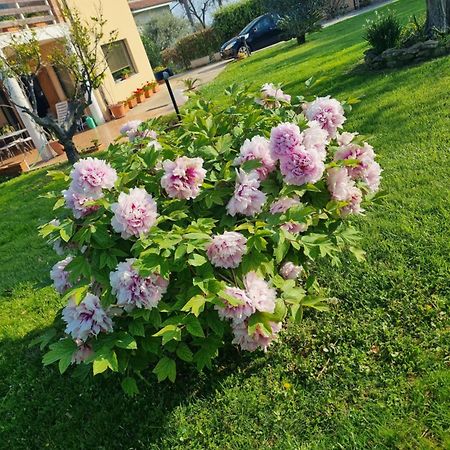 Ferienwohnung La Collina Del Riccio Ortona Exterior foto