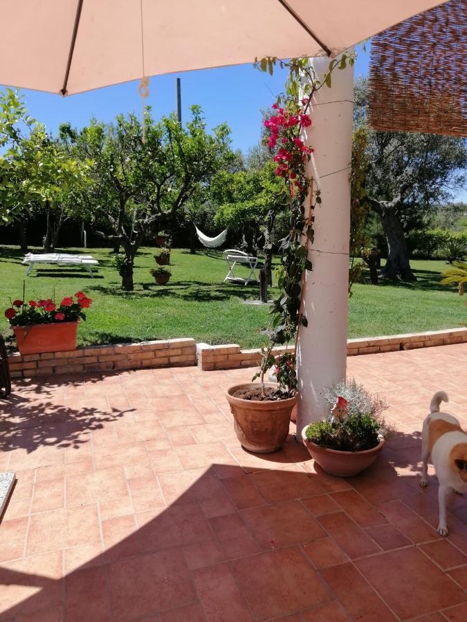 Ferienwohnung La Collina Del Riccio Ortona Exterior foto