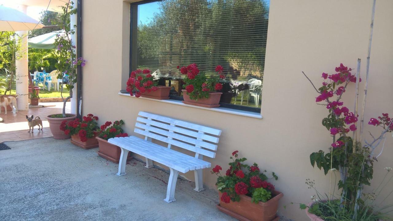 Ferienwohnung La Collina Del Riccio Ortona Exterior foto