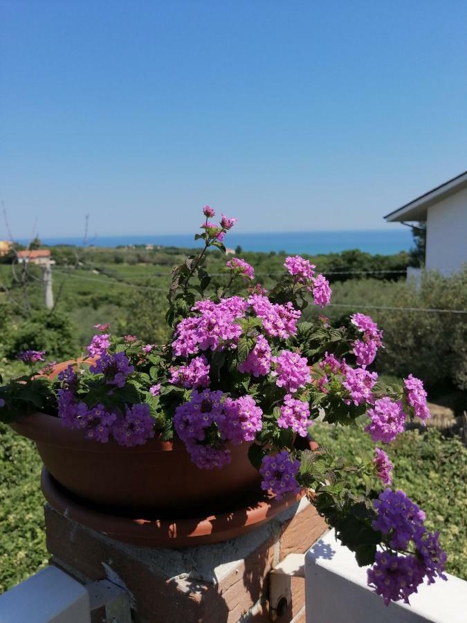 Ferienwohnung La Collina Del Riccio Ortona Exterior foto