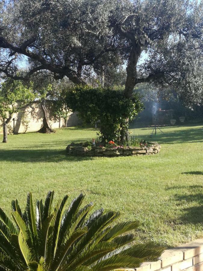 Ferienwohnung La Collina Del Riccio Ortona Exterior foto
